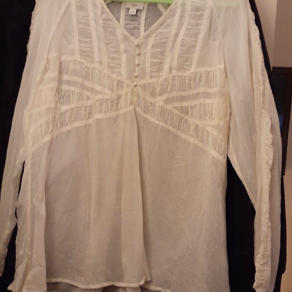 Dainty Sheer Blouse